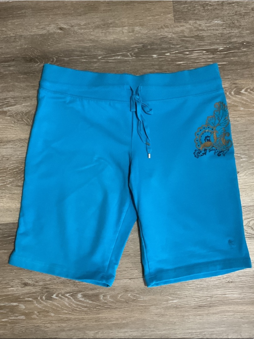 Danskin Aqua Blue Casual Pull-On Shorts